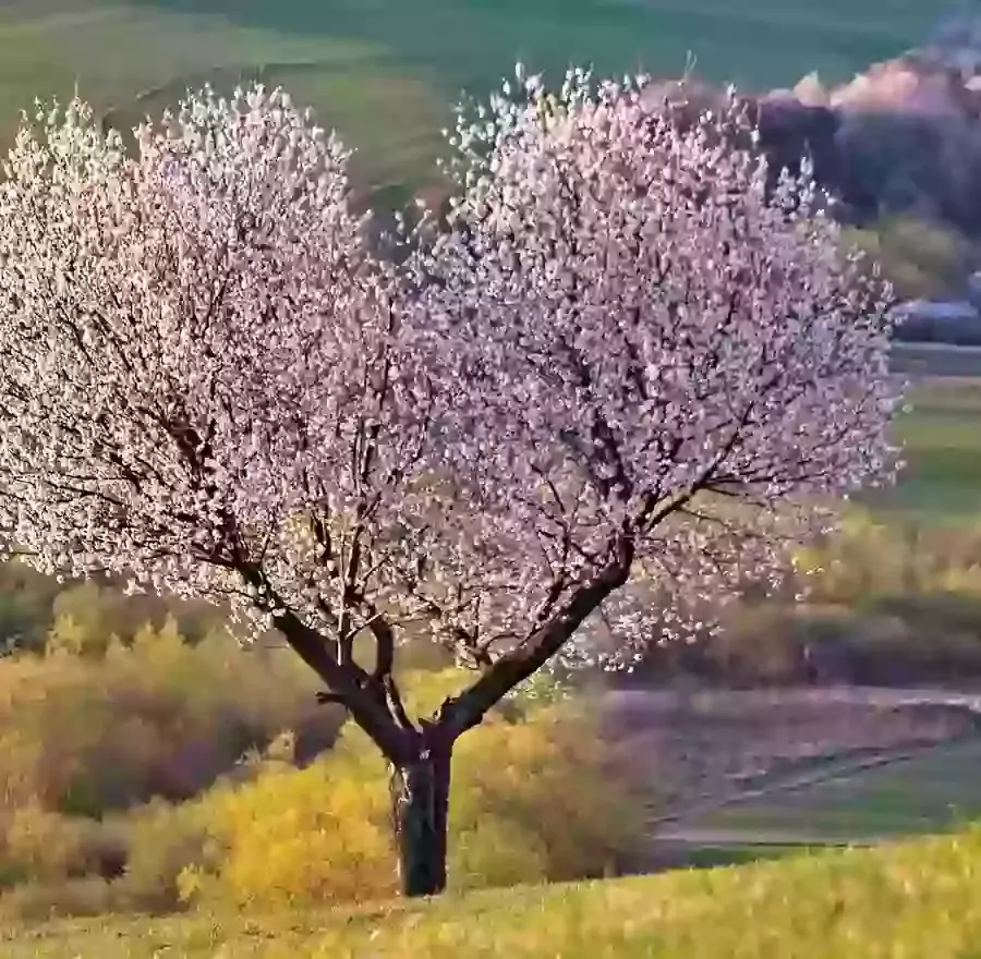 Belonging At St Mary's